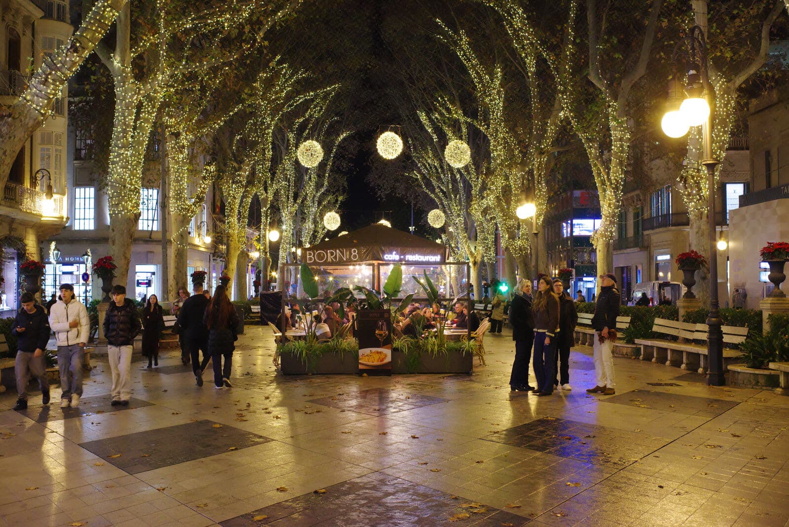 O Passeig del Born, em Palma, à noite, com árvores iluminadas, mesas na calçada e pedestres