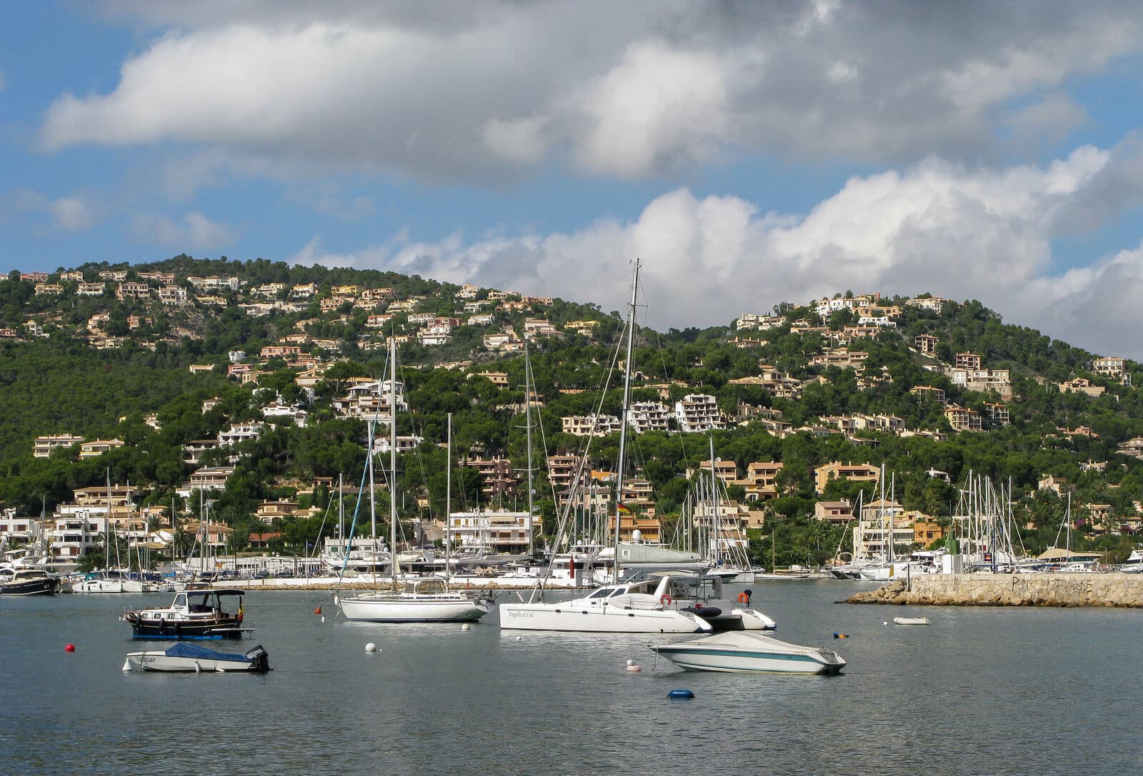 Porto de Port d'Andratx com veleiros ancorados e casas escalonadas nas colinas cobertas de pinheiros