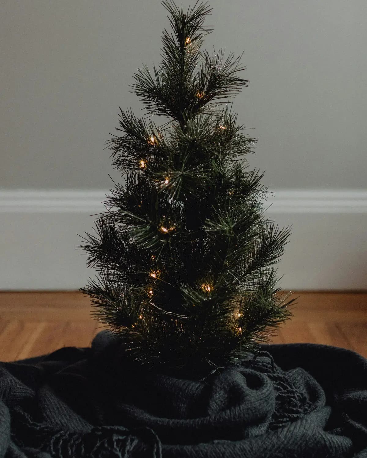 Pequena árvore de Natal só com luzes brancas distribuídas pelos ramos, sem enfeites, sobre uma manta escura que tapa o suporte.
