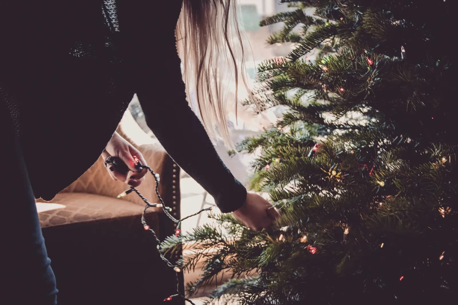 Uma pessoa coloca um fio de luzes sobre os ramos de uma árvore de Natal, segurando o cabo com uma mão e ajeitando um ramo com a outra.