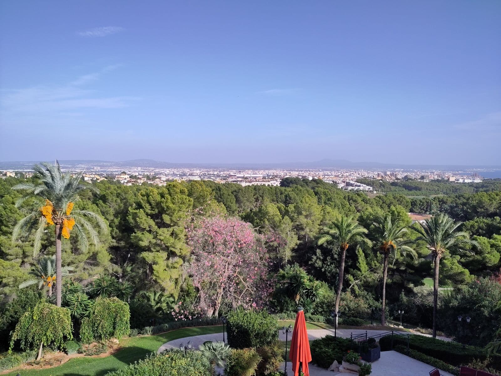Giardini con palme e pini a Son Vida e, sullo sfondo, la città di Palma e la sua baia